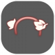 UI-发饰-枯叶发饰.png