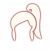 水先知