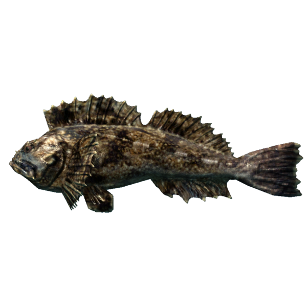文件:600px-SR-icon-food-Scorpion Fish.png