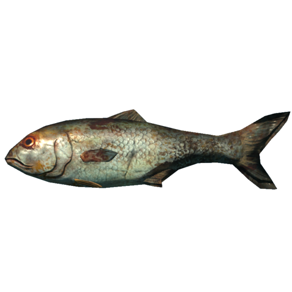 文件:600px-SR-icon-food-Brook Bass.png