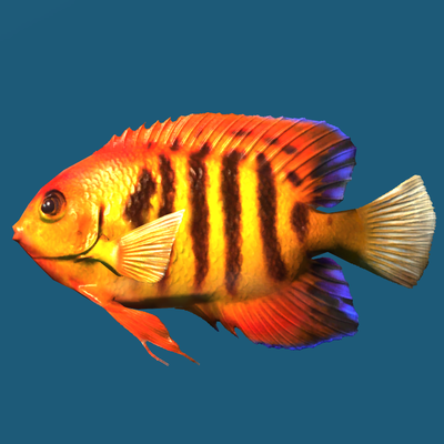 文件:400px-SR-ingredient-Angelfish.png