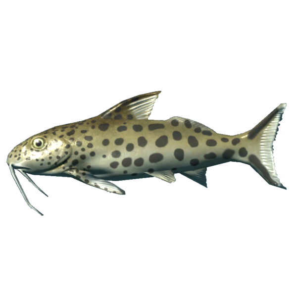 文件:600px-SR-icon-food-Catfish.png