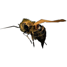 SR-icon-ingredient-Bee.png