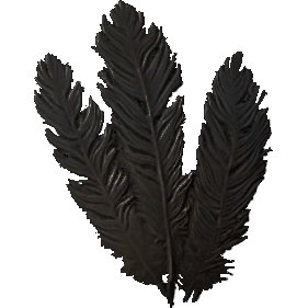 SR-icon-ingredient-Hagraven Feathers.png