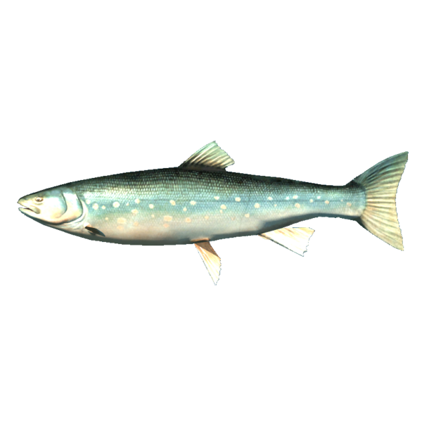 文件:600px-SR-icon-food-Arctic Char.png