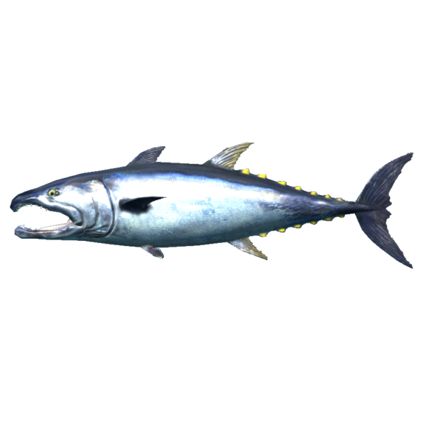 文件:600px-SR-icon-food-Pogfish.png