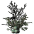 SR-icon-ingredient-Juniper Berries.png