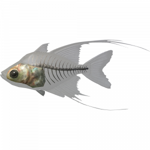 SR-icon-ingredient-Glassfish.png