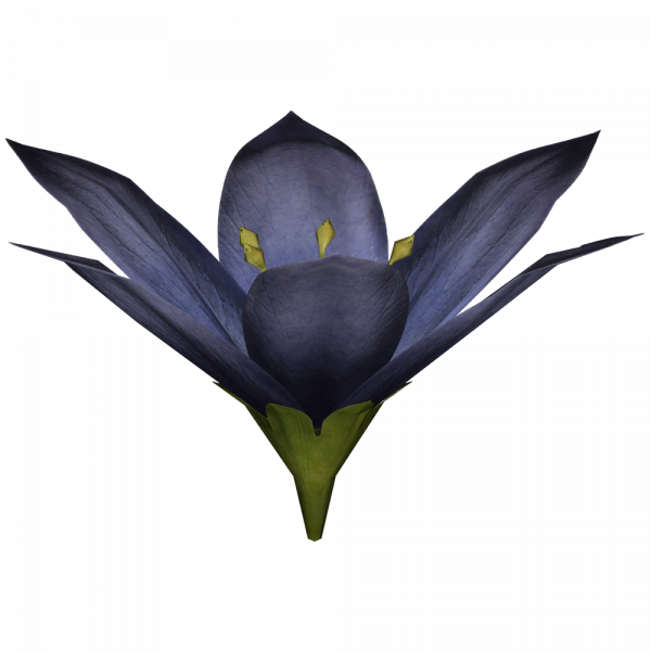 文件:SR-icon-ingredient-Stoneflower Petals.png