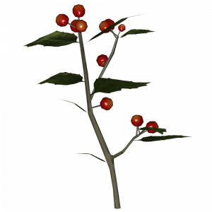 SR-icon-ingredient-Chokeberry.png