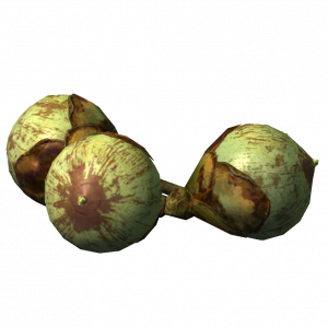 SR-icon-ingredient-Ironwood Fruit.png