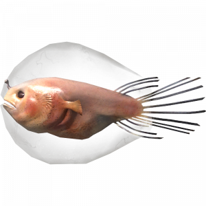 SR-icon-ingredient-Angler Larvae.png