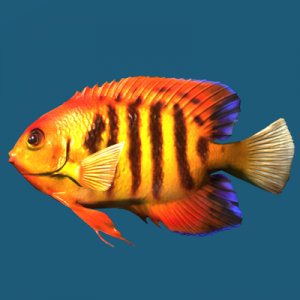 400px-SR-ingredient-Angelfish.png