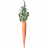 SR-icon-food-Carrot.png