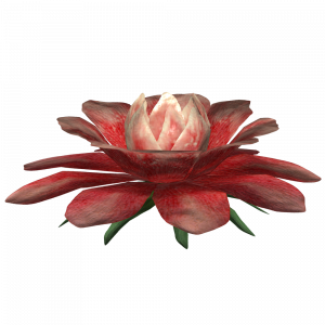 SR-icon-ingredient-Redwort Flower.png