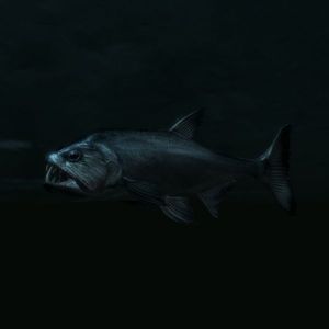 600px-SR-creature-Vampire Fish.jpg