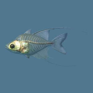 600px-SR-ingredient-Glassfish.png