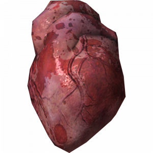 SR-icon-ingredient-Human Heart.png