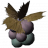 SR-icon-ingredient-Jazbay Grapes.png