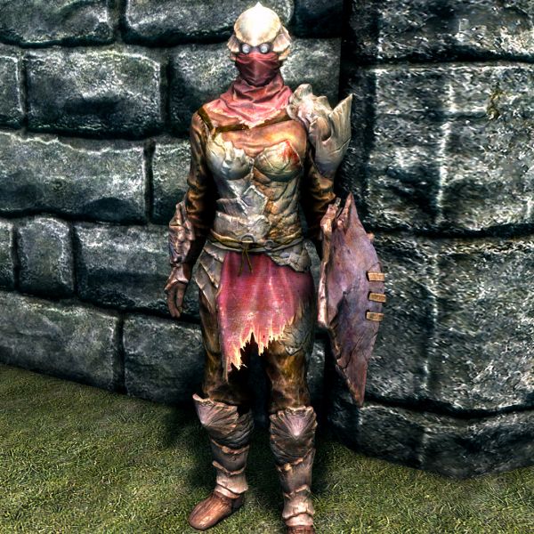 文件:SR-item-Chitin Armor Female.jpg