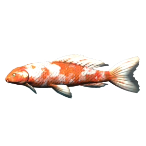 600px-SR-icon-food-Carp.png