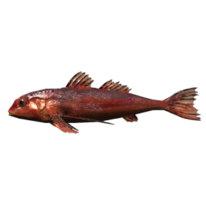 600px-SR-icon-food-Direfish.png