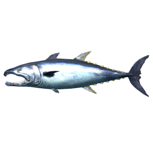 600px-SR-icon-food-Pogfish.png