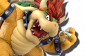Overview-Koopa.png