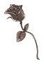 凋零的花.png