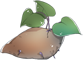 地瓜.png