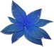 蓝色药草.png