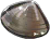 千年蛤蜊精.png