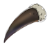 狮鹫兽的指甲.png
