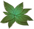 绿色药草.png