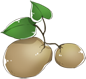 马铃薯.png