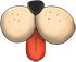 狗鼻子.png