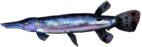 鳄雀鳝.png