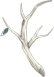 神秘树枝.png