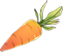 胡萝卜.png