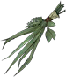 艾草.png