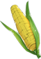 玉米.png