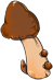 肉灵芝.png