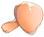蘑菇芽.png