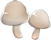 野生蘑菇.png