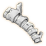 远古鱼骨.png