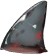 鱼翅.png