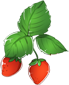 草莓.png