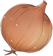 洋葱.png