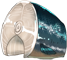 鲔鱼.png