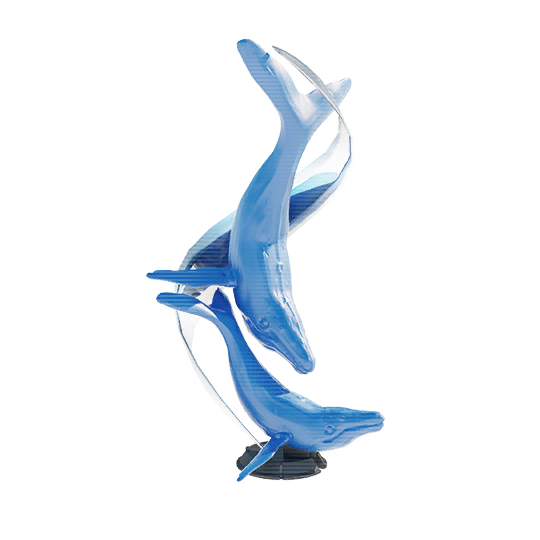 灿海遨游.png